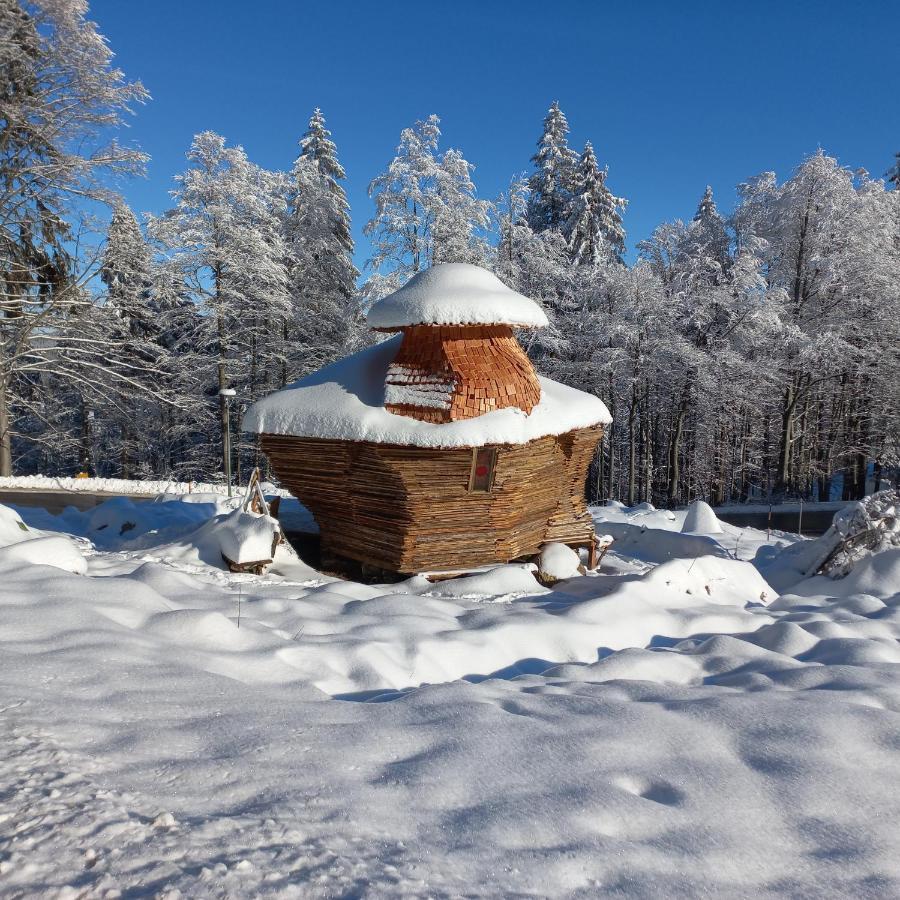 Apartman Mitterdorf Almberg 7 Mitterfirmiansreut Exteriér fotografie